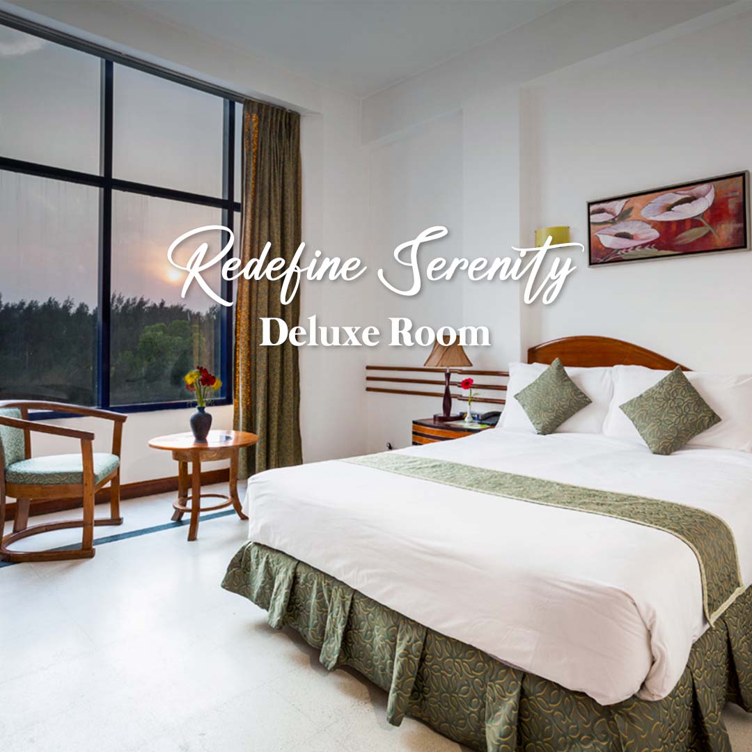 deluxe-room-seagull (1)