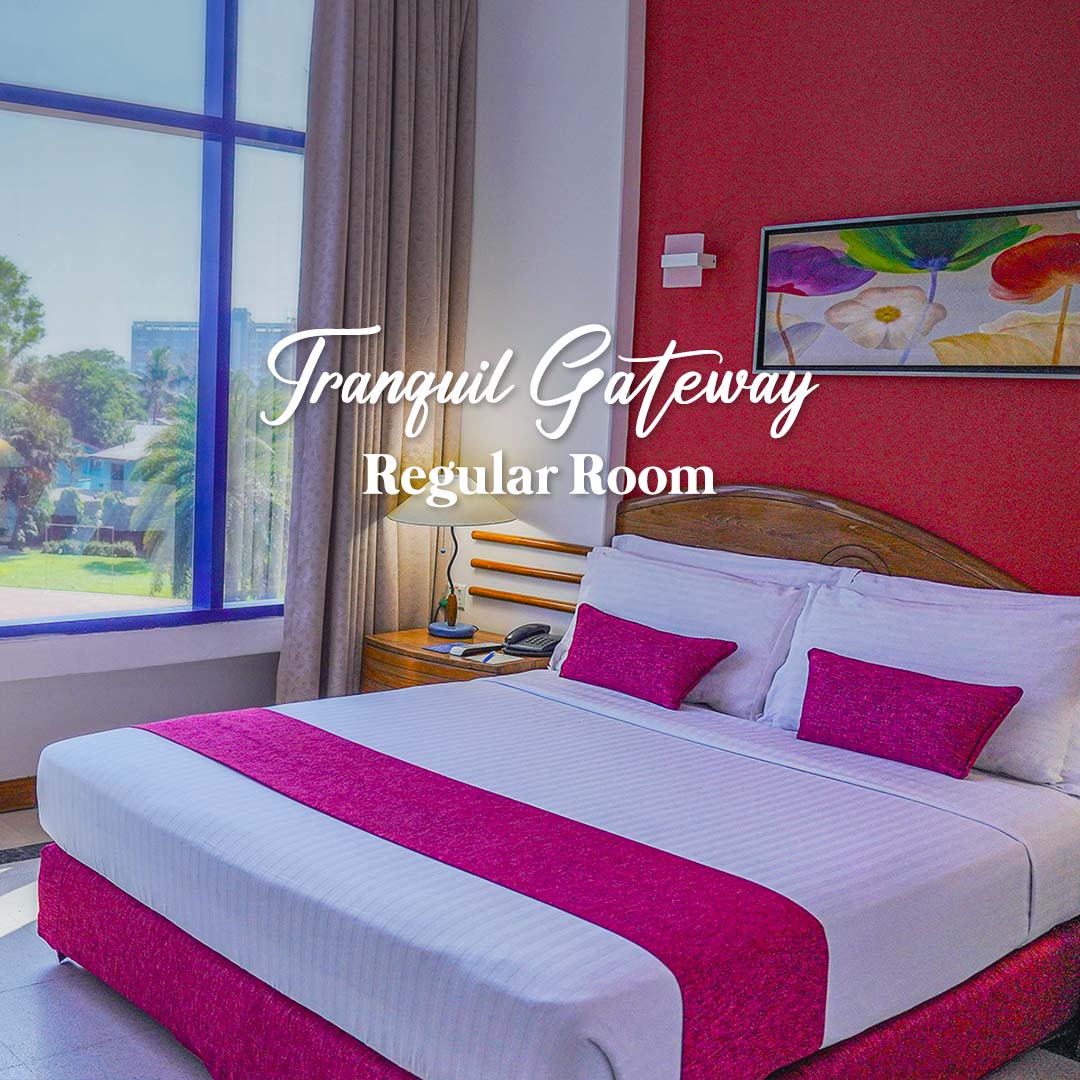 regular-room-seagull